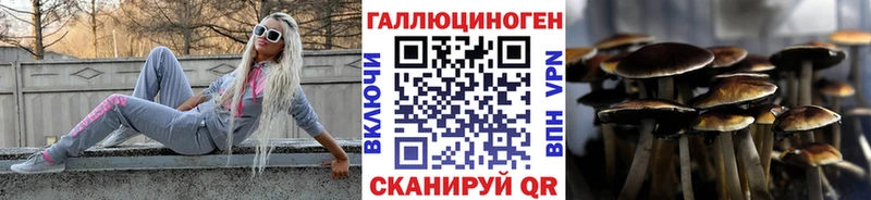 Купить Волосово Псилоцибиновые грибы Psilocybe